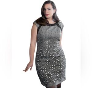 Roberto Cavalli Plus Size Cotton Blend Dress size 5, black & white like new